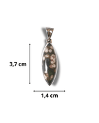 Colgante Jaspe Oceanico Plata Ley