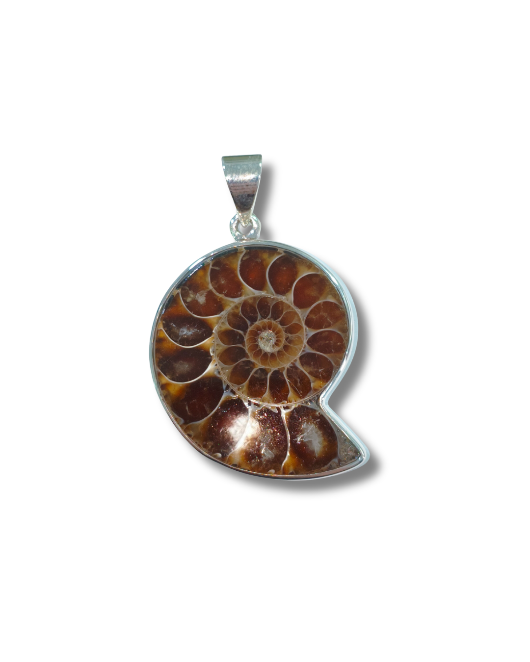 Colgante Ammonite Plata Ley