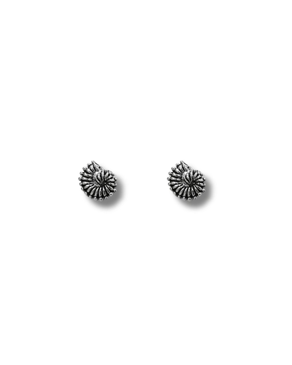 Pendientes Concha Nautilus Plata ley