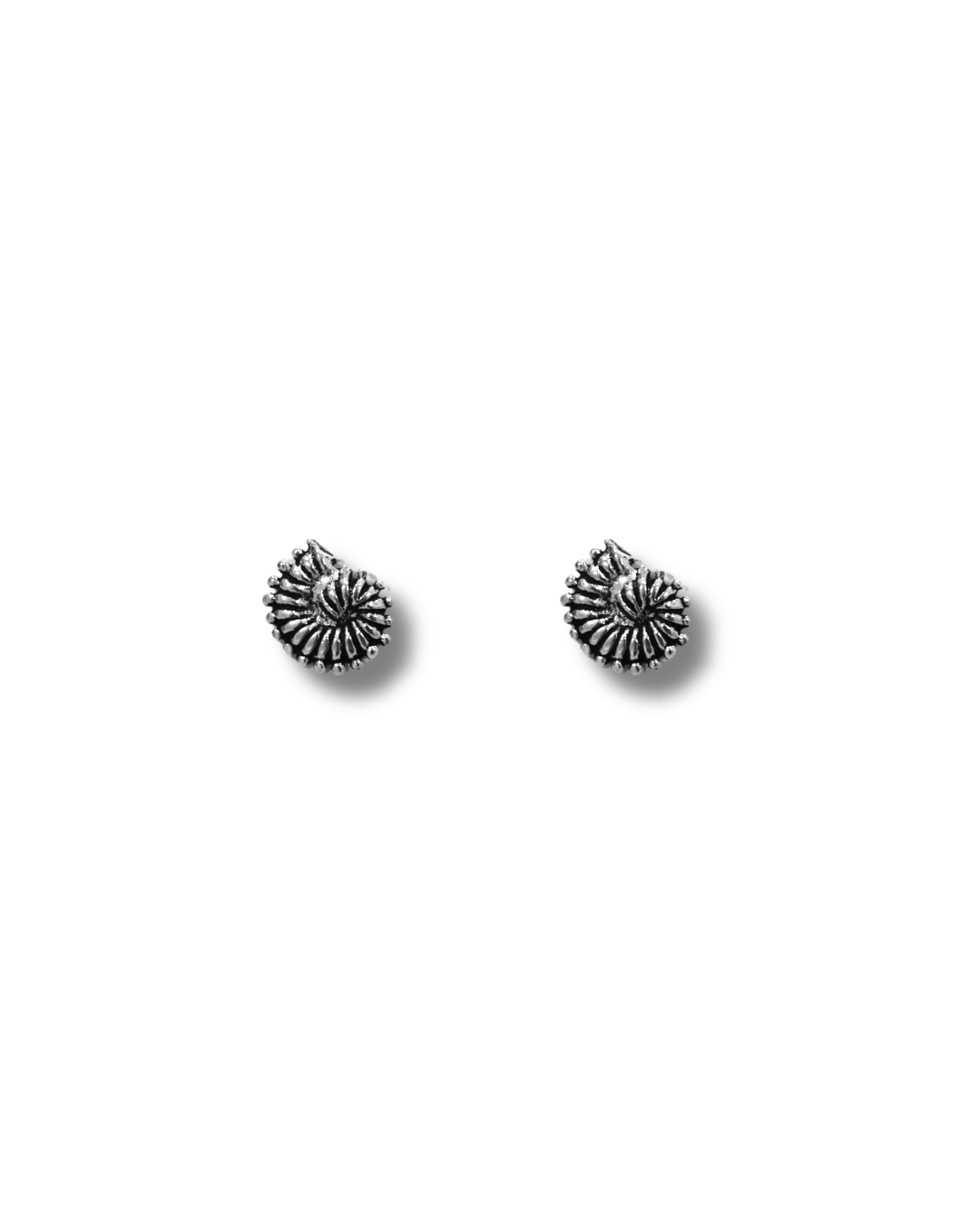 Pendientes Concha Nautilus Plata ley