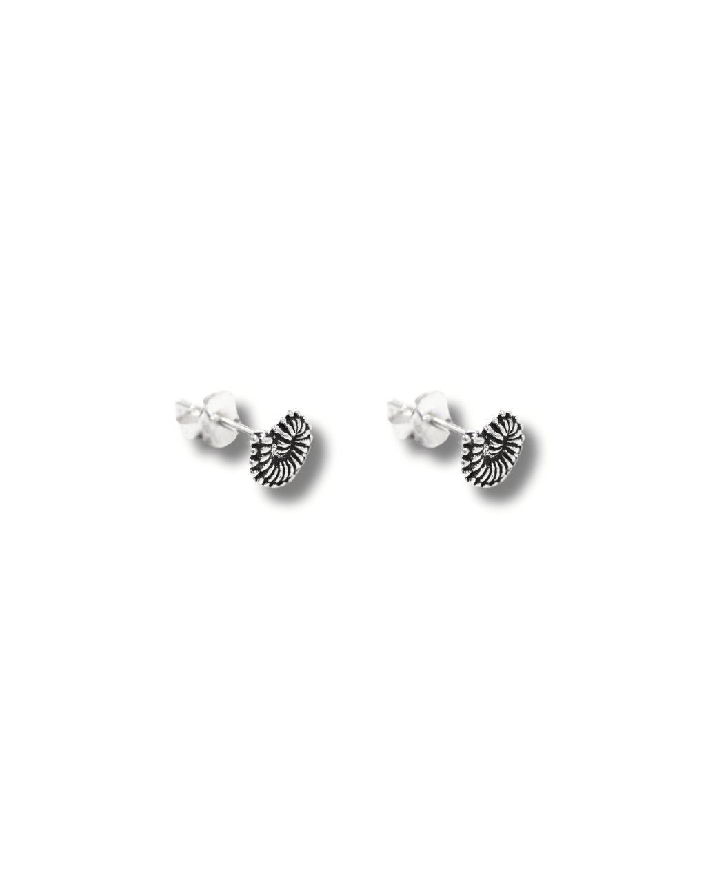 Pendientes Concha Nautilus Plata ley