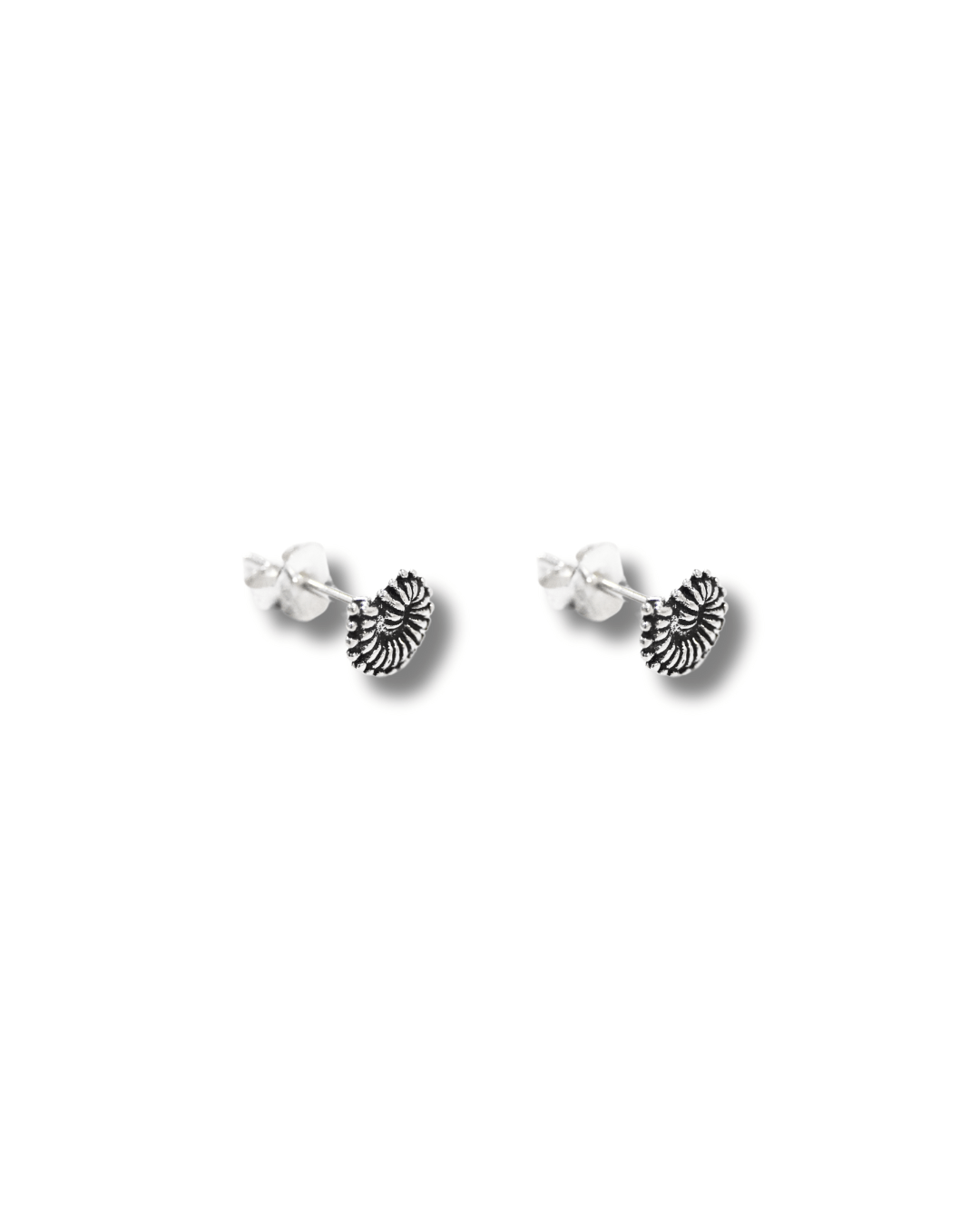Pendientes Concha Nautilus Plata ley